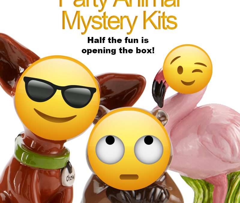 Party Animal Mystery Kit